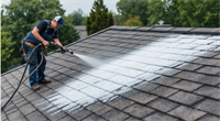 highly profitable roof rejuvenation - 1
