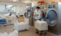 established wholesale shirt laundry - 1