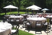 established party event rentals - 1