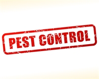 pest control business - 1