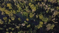 plot of land available - 3
