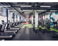 established fitness pilates operation - 1