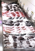 established seafood market nassau - 2