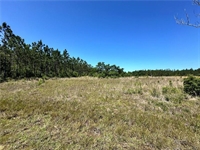 3 acre commercial land - 2