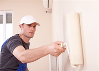 profitable painting franchise ohio - 1