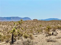 plot of land available - 1