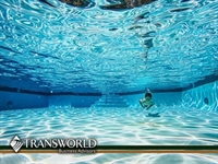 well-established pool service business - 1