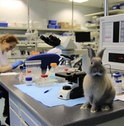 full-service clinical laboratory northern - 1