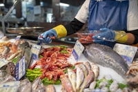 brooklyn seafood market prime - 1