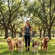 established recurring revenue dog - 1