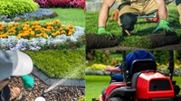 premier swfl landscape lawn - 1