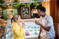 ice cream-dessert shop high - 1