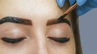 premier eyebrow lash salon - 1