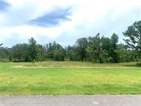 plot of land available - 2
