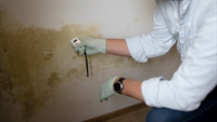 profitable restoration business serving - 1
