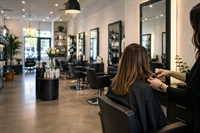 established salon an affluent - 1