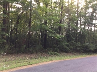 67 acre unrestricted land - 3