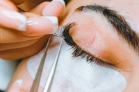 lash studio minnesota - 1