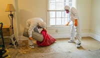 profitable hoarding remediation biohazard - 1