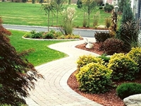 landscaping business - 1