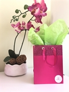 established 13-year home staging - 1