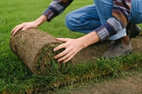 professional artificial landscape turf - 1