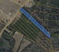 plot of land nichols - 2