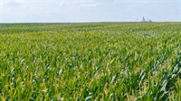 row crop farmland investment - 3