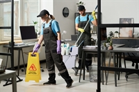 established cleaning business high-profit - 1