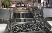 seafood processing facility - 1