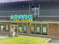 well-established shark s fish - 1