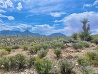 plot of land available - 1