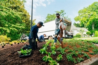 residential commercial landscaping lawn - 1