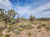plot of land available - 1