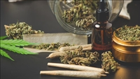 profitable thc retail store - 1