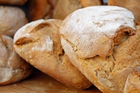 established wholesale bread bakery - 2