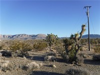 plot of land available - 3