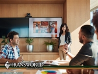 established profitable digital advertising - 1
