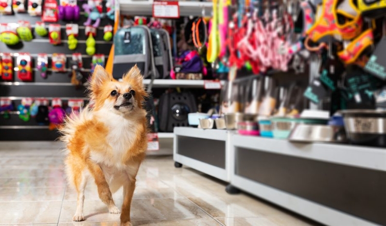 Established Pet Store In The Bronx, NY
