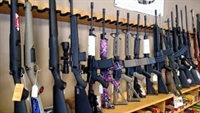 profitable firearms sporting goods - 1