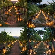 all-inclusive winery restaurant wedding - 1