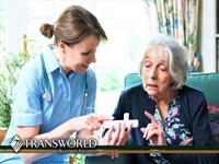 franchised nurse registry pinellas - 1