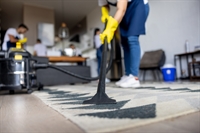 established queens ny cleaning - 1