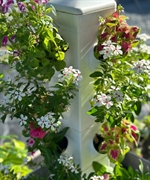 profitable hydroponics manufacturing business - 2