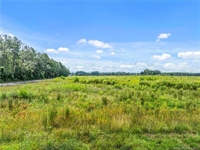 40 acre pasture land - 2