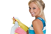 top brand cleaning biz - 1