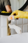 profitable home cleaning business - 1