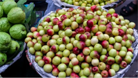 20-acre farm with fruit - 1