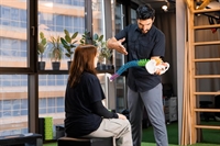 established chiropractic office netting - 1