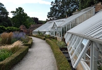 25+ year greenhouse operation - 1